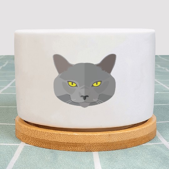 Cat face Plant Pots