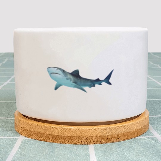 Shark Plant Pots