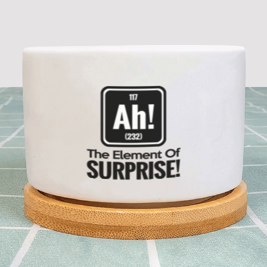 AH! THE ELEMENT OF SURPRISE! Plant Pots