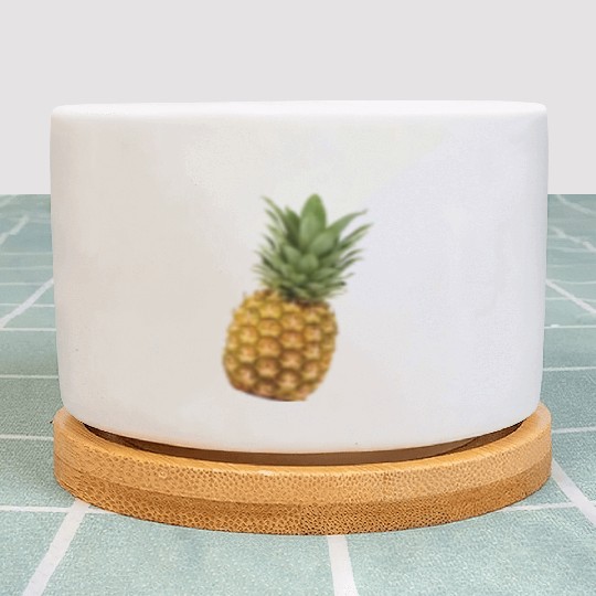 Baby Pineapple Plant Pots