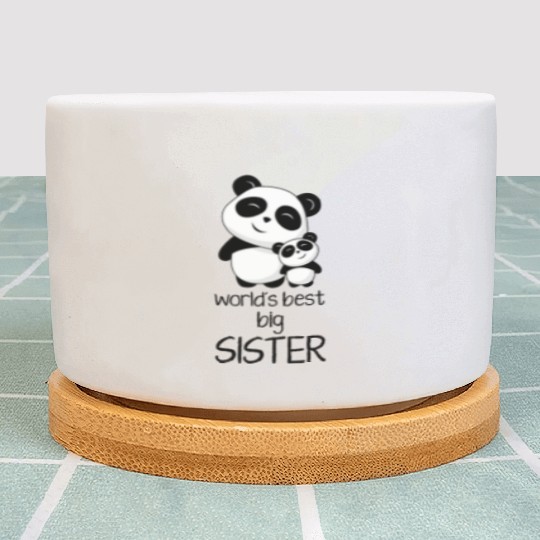 worlds best big sister Plant Pots