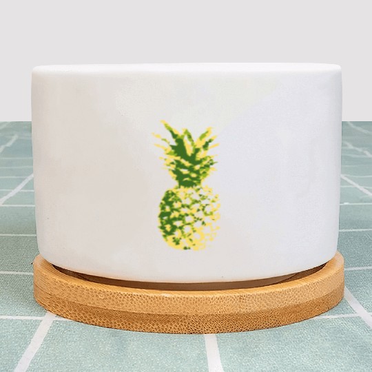 Ananas Pineapple Fruit summer 2reborn CUBE Plant Pots