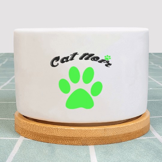 Cat Noir Of Miracle Ladybug Plant Pots