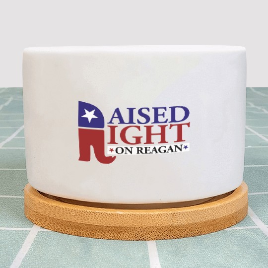 Raised Right On Reagan 80'S Nostalgia Plant Pots