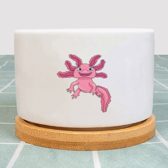 Axolotl Plant Pots