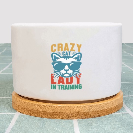 Crazy cat lady Plant Pots