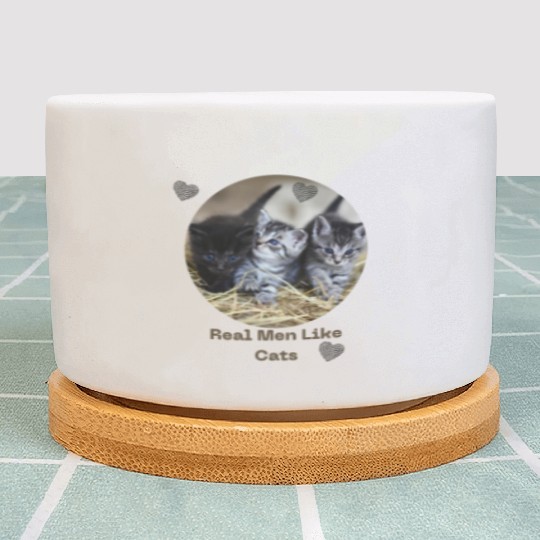 Kittens love Plant Pots