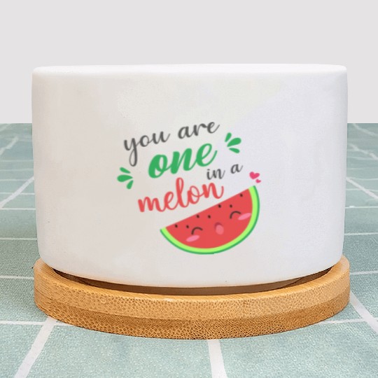 you are one in a melon- cute watermelon Plant Pots