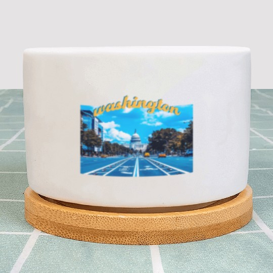 Washington DC Plant Pots