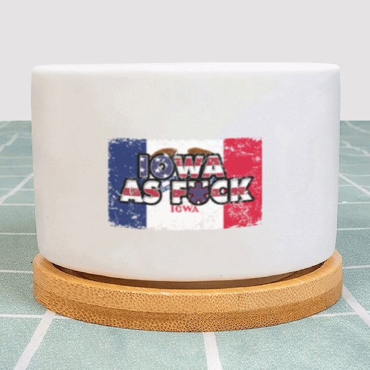 America US Flag State Flag Iowa Plant Pots
