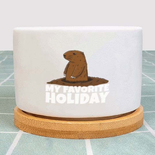 My Favourite Holiday Groundhog Plant Pots