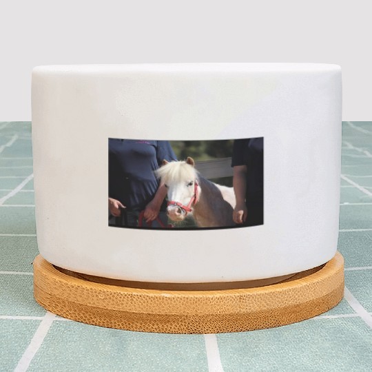 Screenshot 20220619 180220 Facebook Plant Pots