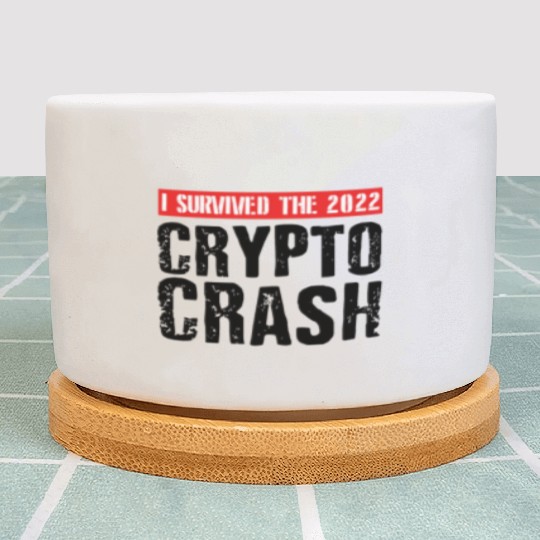 I SURVIVED THE 2022 CRYPTO CRASH Plant Pots