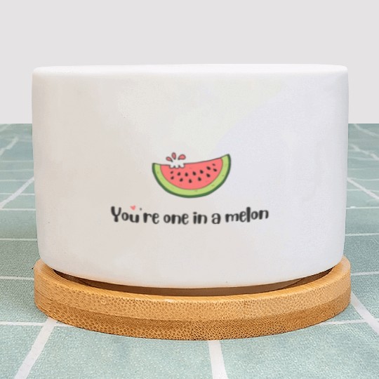 you are one in a melon Plant Pots