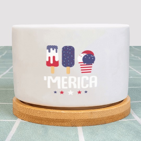 Merica Ice Cream Lover Popsicles US Flag Plant Pots