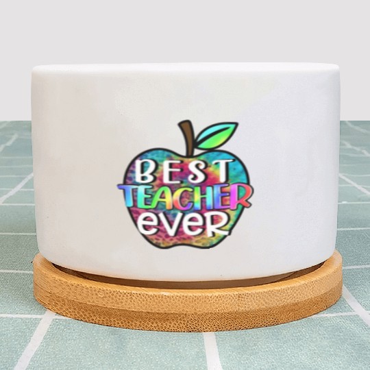 Teacher, Best Teacher Ever Plant Pots