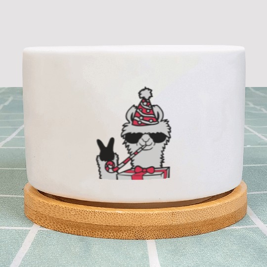Birthday No Drama Llama Plant Pots
