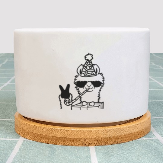 Party No Drama Llama Plant Pots