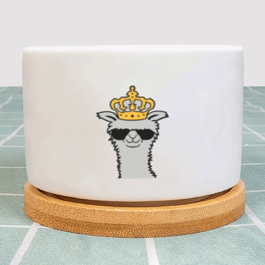King llama sunglasses stay Plant Pots