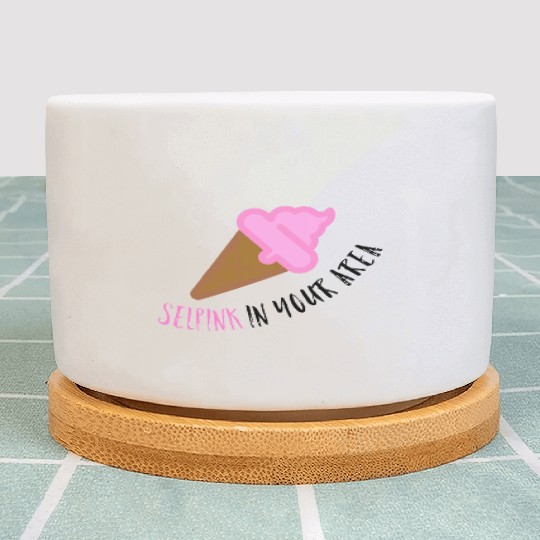 Comedy Ice Scream Plant Pots