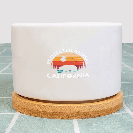 California Bear Retro Plant Pots