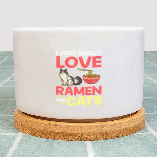 Ramen Cat Bowl Chicken Noodle Soup Japanese Plant Pots