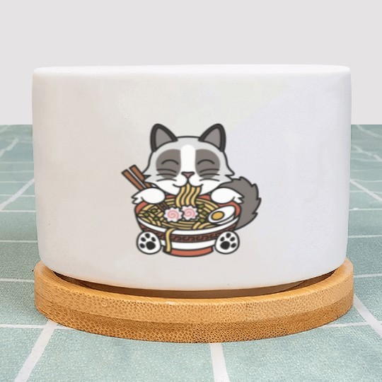 Ragdoll Cat Ramen Noodles Plant Pots