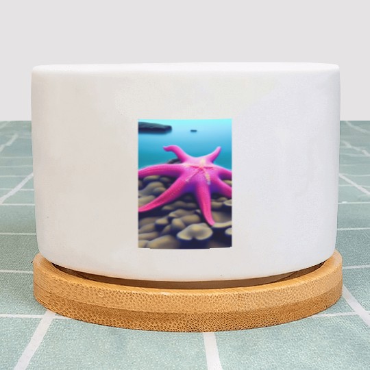 Pink starfish Plant Pots