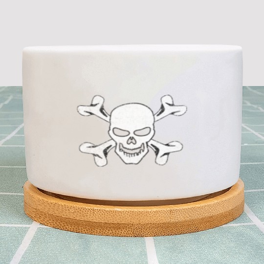 Plain Vintage Skull And Crossbones Plant Pots
