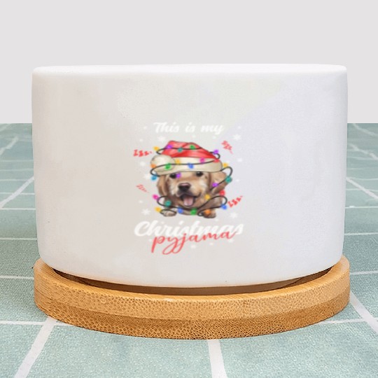 Winter Christmas Pyjama Golden Retriever Plant Pots