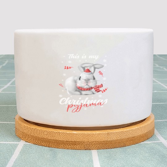 Winter Christmas Pyjama rabbit Plant Pots