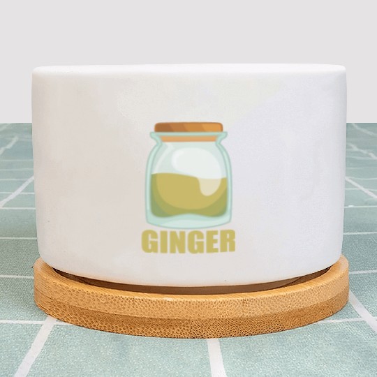 Ginger Spice Flavor Food Cooking Plant Pots