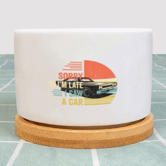 sorry i'm late i saw a car Plant Pots