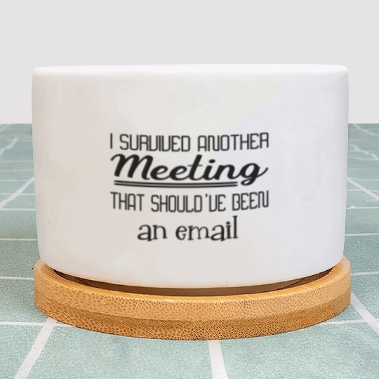 I survived another meeting that been an email Plant Pots