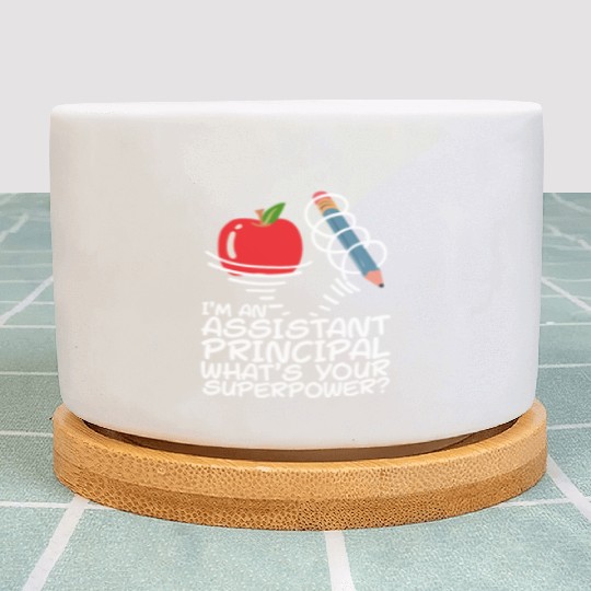 Assistant Principal Plant Pots