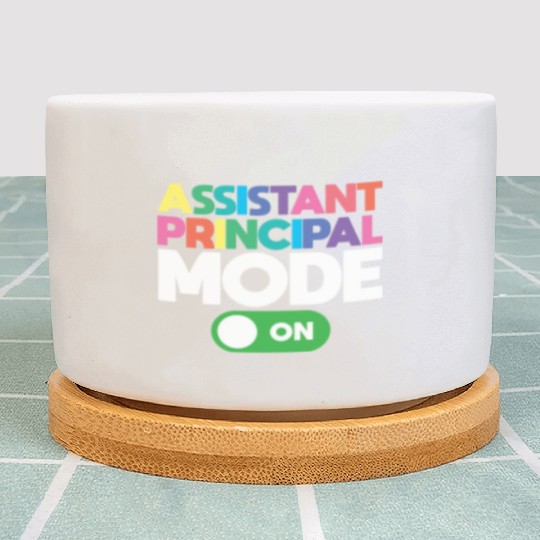 Assistant Principal Plant Pots
