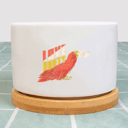 Love Hurts Plant Pots