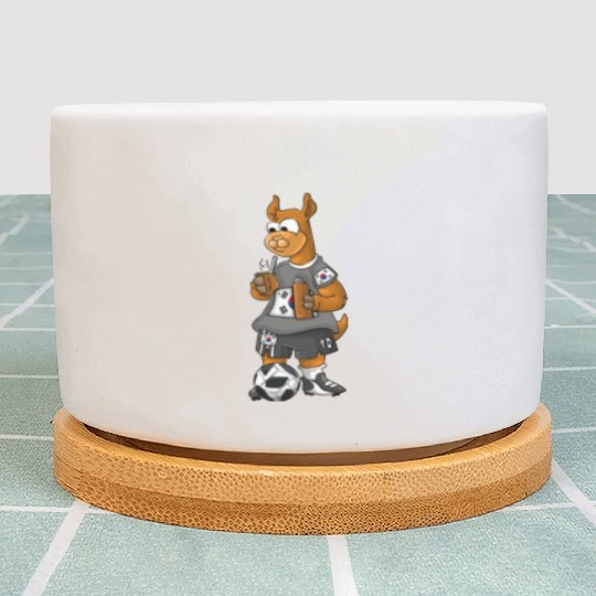 South Korean Fan Llama Plant Pots