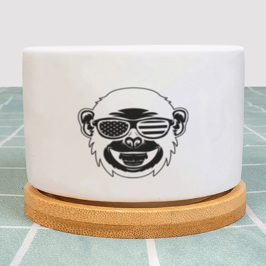 Monkey Head Monkey Plant Pots