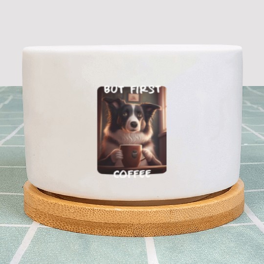 Border Collie - But First Coffee (en) 3 Plant Pots