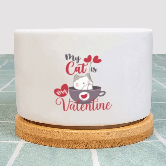 My cat is my Valentine's Day gift geek Plant Pots