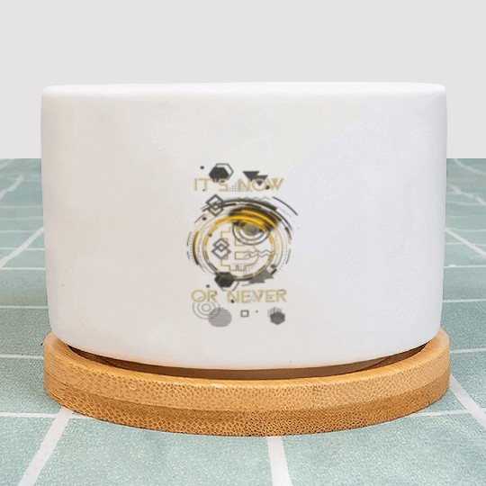 Bitcoin Trader Start Now Or Never Cryptocurrency T Plant Pots