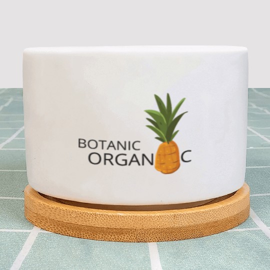 Botanic Organic Clothing Shop – Pineapple Plant Pots