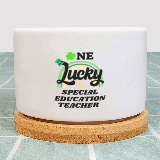 Special education teacher, St Patrick's Day Gift Plant Pots