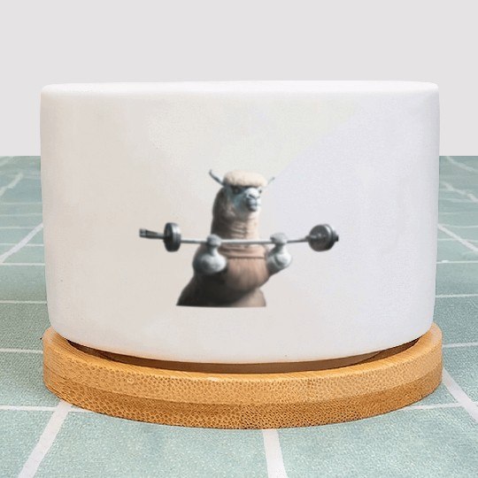 Lama in the gym - lifting weights Plant Pots