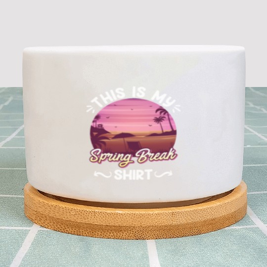 Party Sun Beach This is my Spring Break Plant Pots