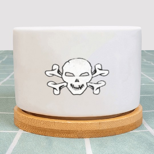 Cracked Skull And Crossbones Plant Pots