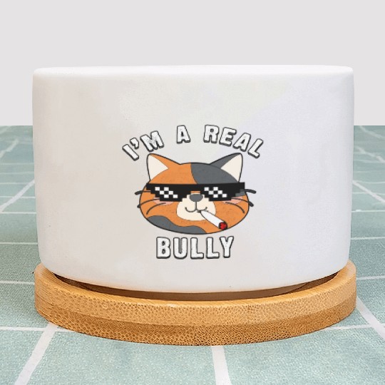 I Am A Real Bully- Gift For Cat Lovers Plant Pots
