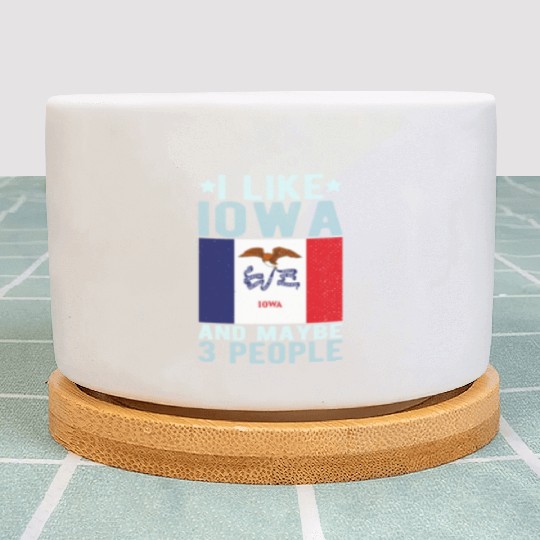 Iowa Flag US State Plant Pots