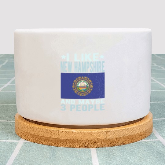 New Hampshire Flag US State Plant Pots